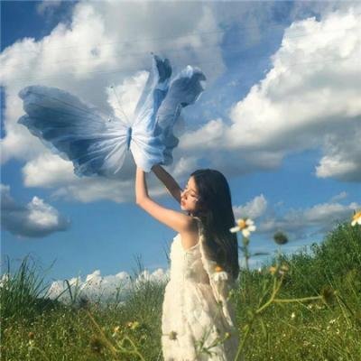 疑雾公堂